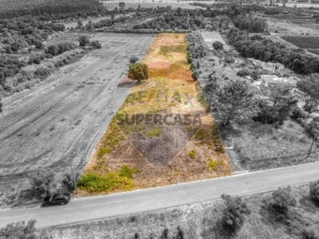 Terreno venda em Cartaxo, Santarém