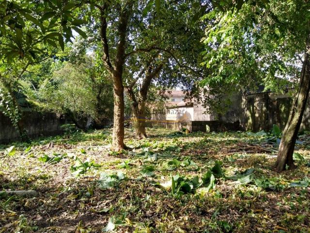 Terreno venda em Jardim 31 de Março, Cubatão