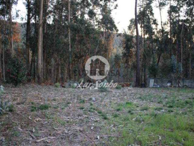 Terreno venda em Barcelos