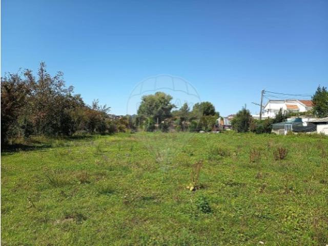 Terreno venda em Faria de Baixo, Oliveira De Azeméis
