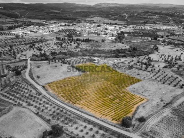 Terreno venda em Vidigueira, Beja