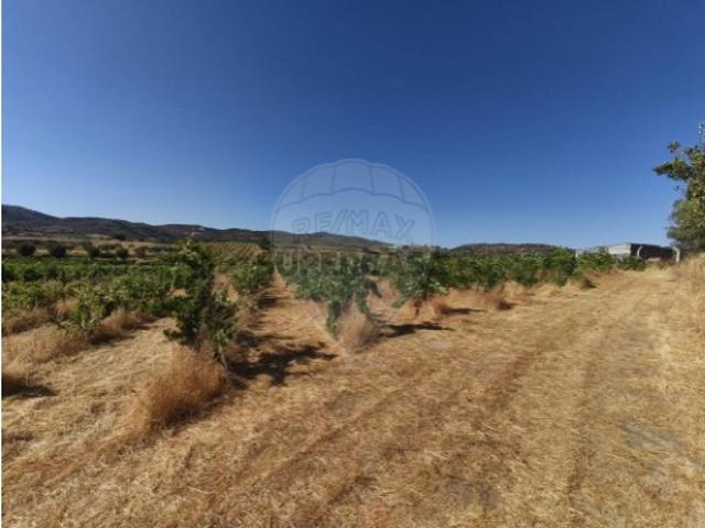 Terreno venda em Vidigueira, Beja