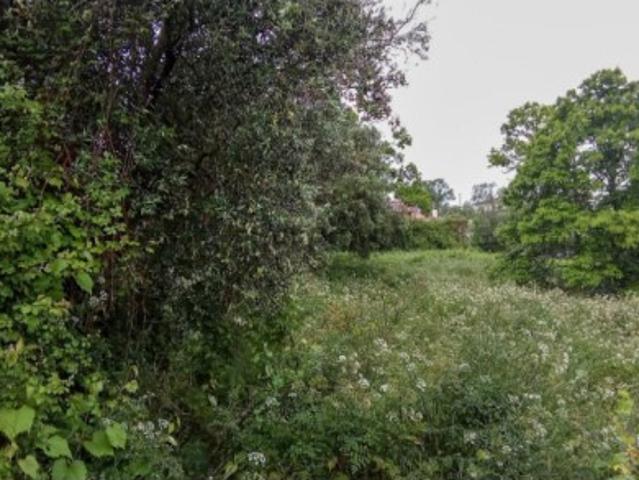Terreno venda em Viana Do Castelo