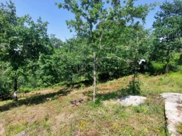 Terreno venda em Viana Do Castelo
