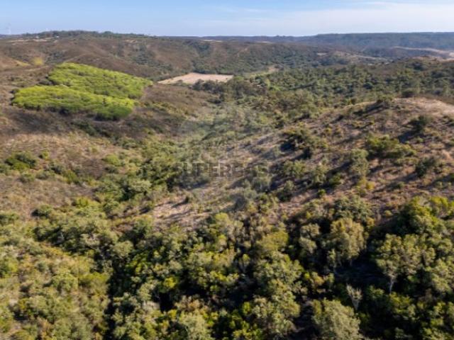 Terreno venda em Vila Do Bispo, Faro