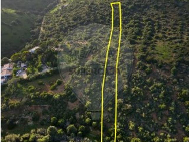 Terreno venda em Vila Do Bispo, Cerro do Homem Terreno venda em Vila Do Bispo, Cerro do Homem