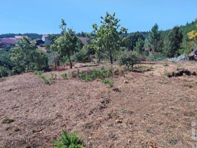 Terreno venda em Pedrógão Grande, Leiria