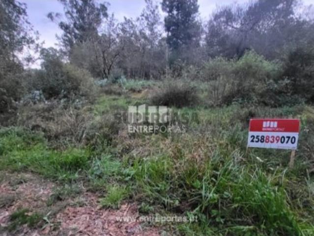 Terreno venda em Viana Do Castelo