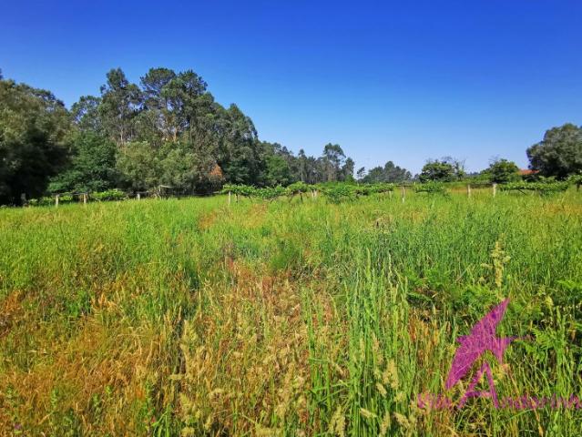 Terreno venda em Viana Do Castelo