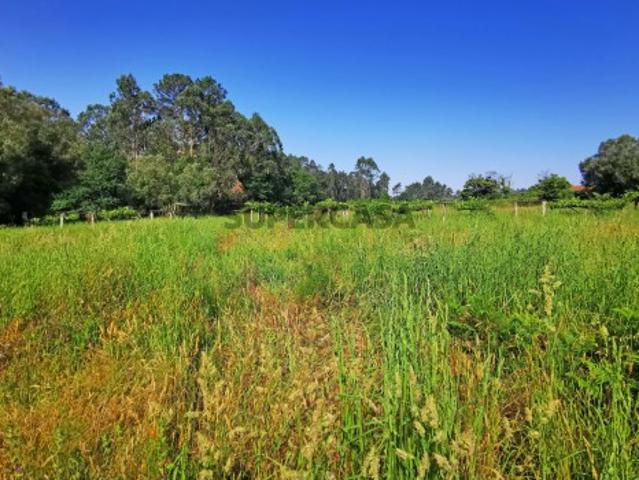 Terreno venda em Viana Do Castelo