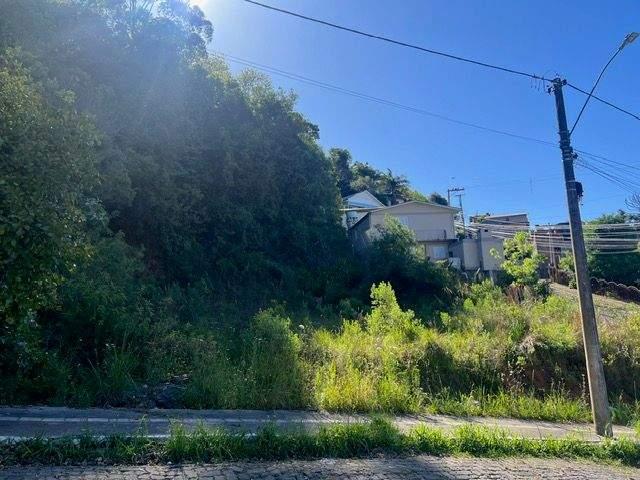 Terreno venda em Região Geográfica Imediata de Bento Gonçalves, Bento Gonçalves
