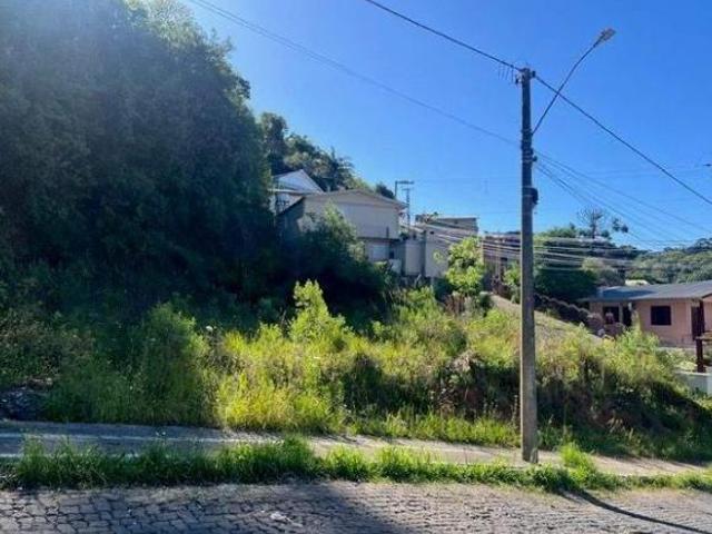 Terreno venda em Região Geográfica Imediata de Bento Gonçalves, Bento Gonçalves