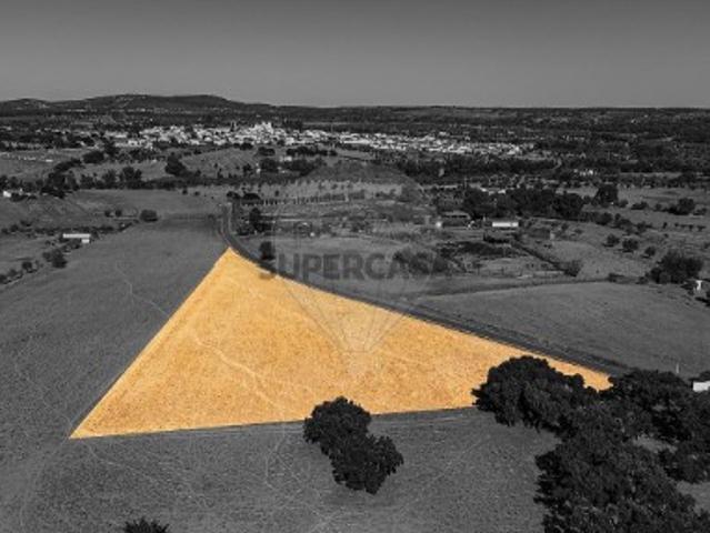 Terreno venda em Alvito, Vila Nova Da Baronia