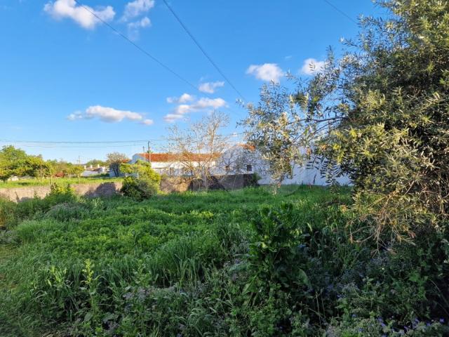 Terreno venda em Alvito, Vila Nova Da Baronia