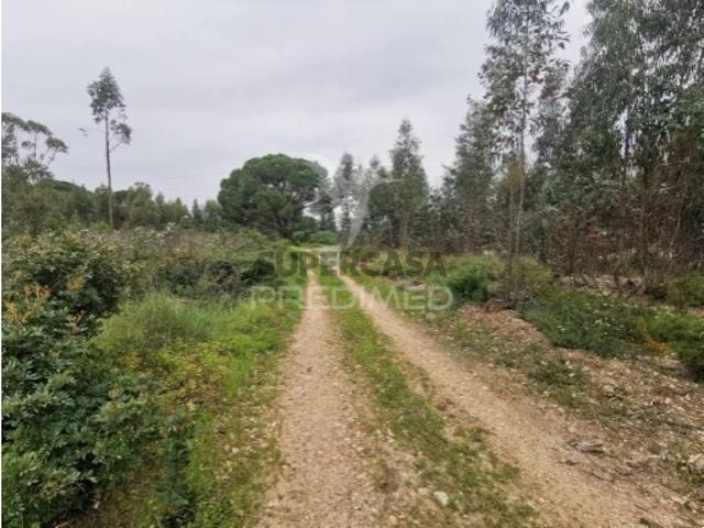 Terreno venda em Vila Nova Da Barquinha, Santarém