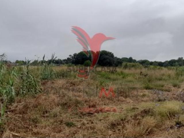 Terreno venda em Azambuja