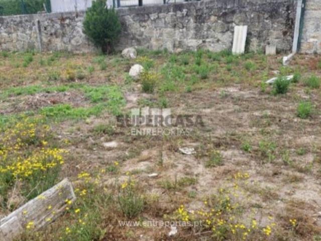 Terreno venda em Viana Do Castelo