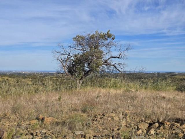 Terreno venda em Tavira, Faro
