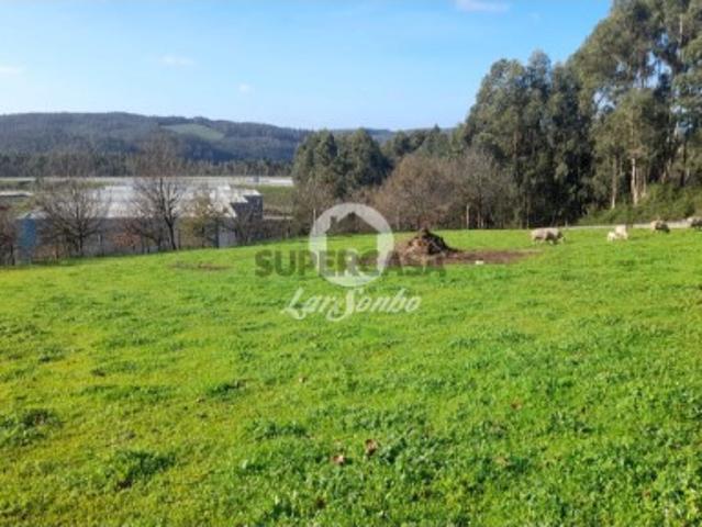 Terreno venda em Vila Nova De Famalicão, Meães