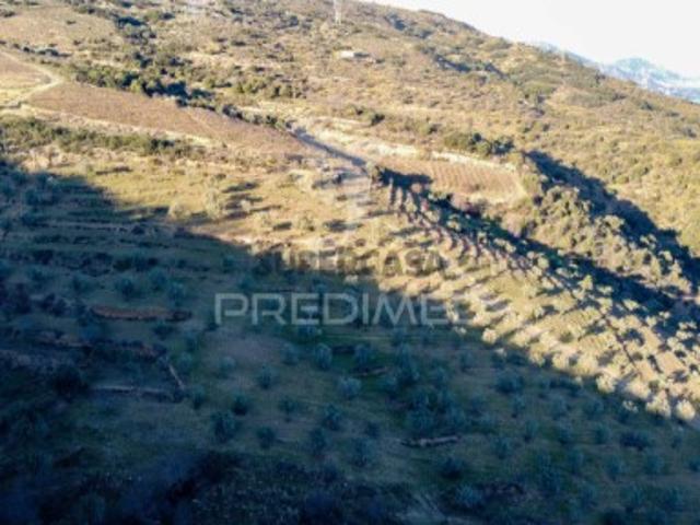 Terreno venda em Guarda, Mós