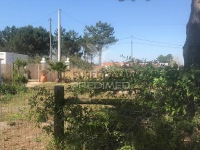 Terreno venda em Odemira, Beja