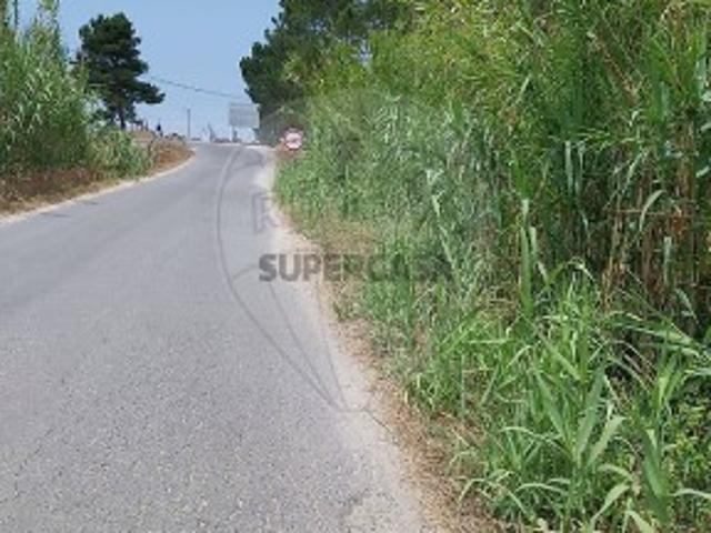 Terreno venda em Alagoachos, Odemira