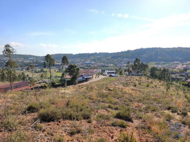 Terreno venda em Anadia, Aveiro