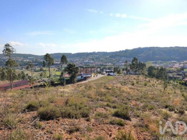 Terreno venda em Vila Nova de Monsarros, Anadia