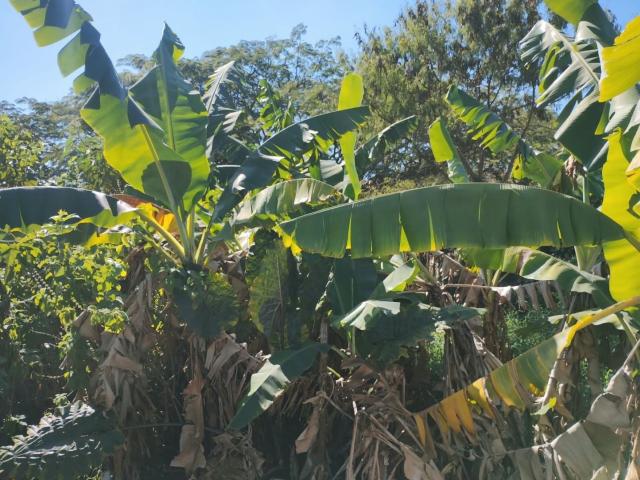 Terreno venda em Jardim Bandeirantes, Mogi Guaçu