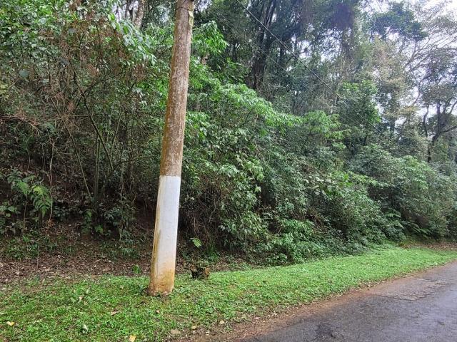 Terreno venda em São João Novo, São Roque