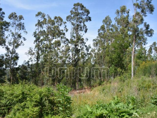 Terreno venda em Ribeira do Neiva, Vila Verde