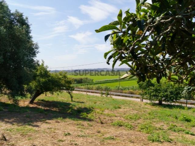 Terreno venda em Figueira Da Foz, Coimbra