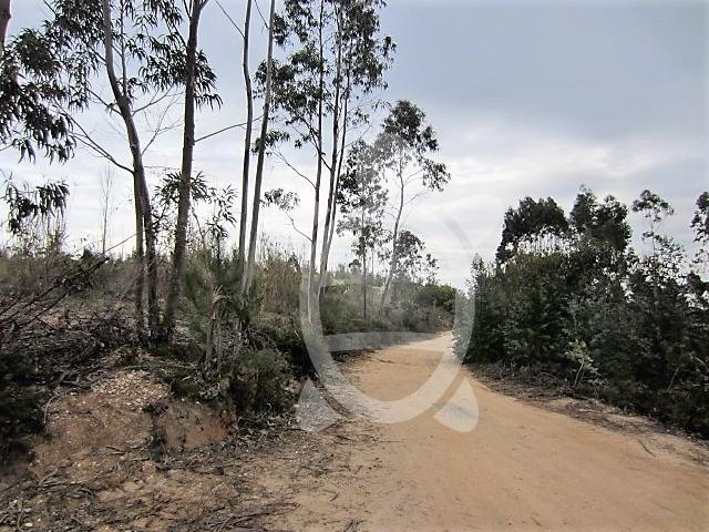 Terreno venda em Figueira Da Foz, Coimbra