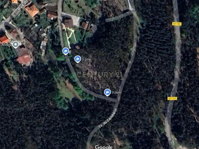 Terreno venda em Ribeira do Neiva, Vila Verde