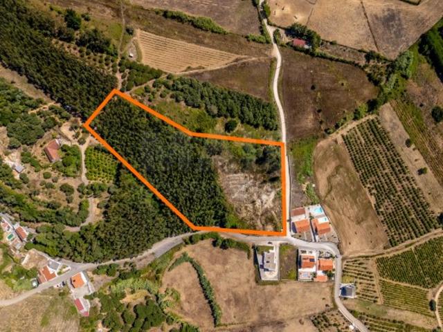 Terreno venda em Alenquer, Lisboa
