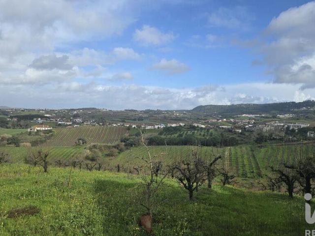 Terreno venda em Cadaval, Vilar
