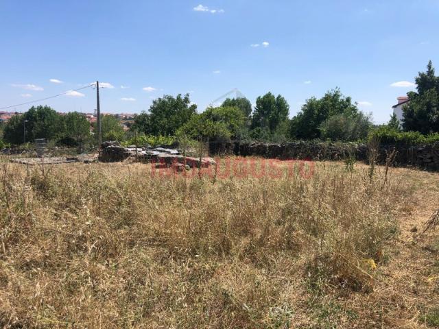 Terreno venda em Guarda, Almeida