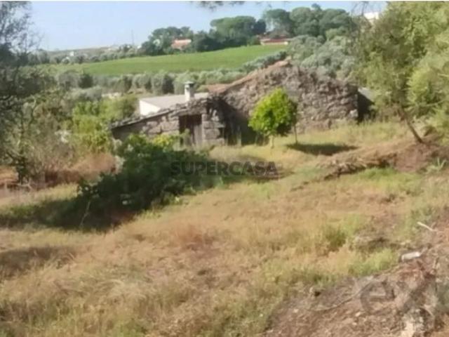 Terreno venda em Vilar Seco, Nelas