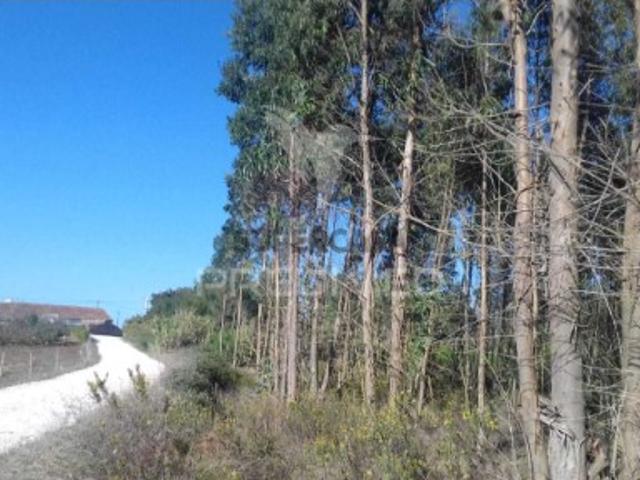 Terreno venda em Lourinhã, Lisboa