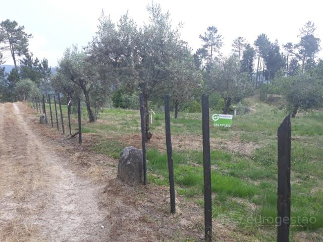 Terreno venda em Viseu