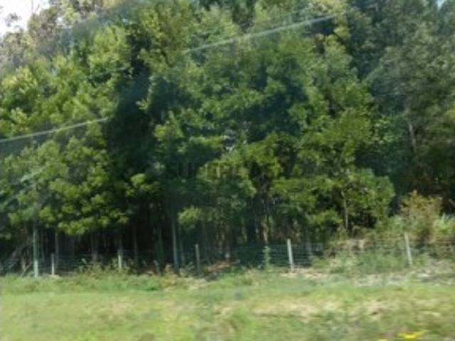 Terreno venda em Viseu