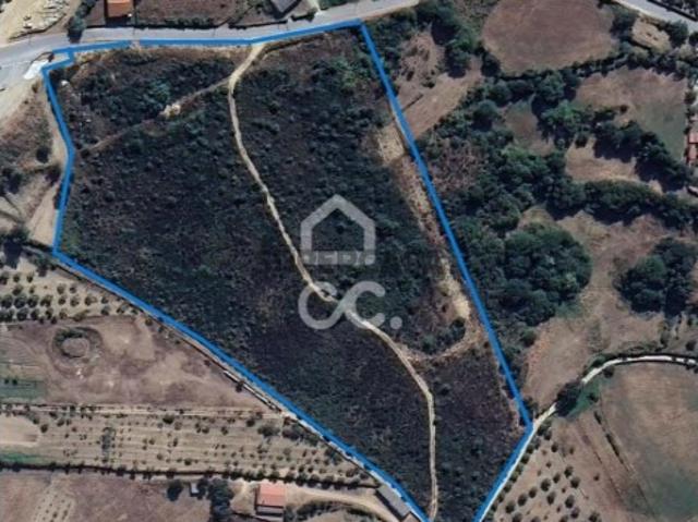Terreno venda em Barbadães de Baixo, Afonsim