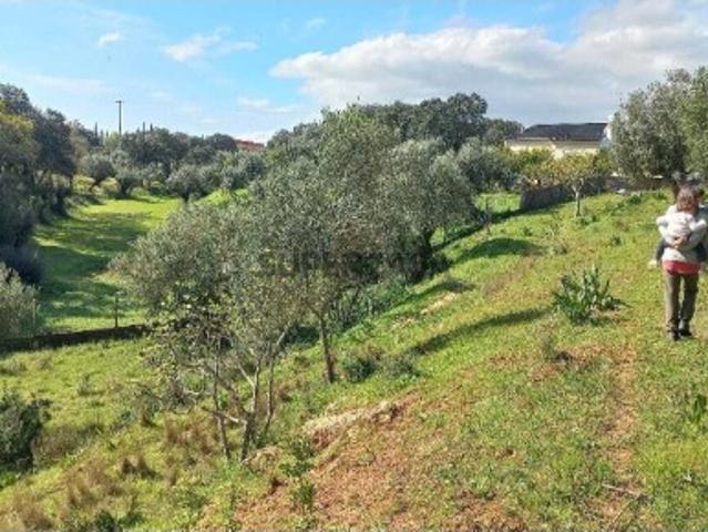 Terreno venda em Torres Novas, Santarém