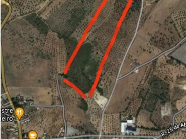 Terreno venda em Torres Novas, Santarém