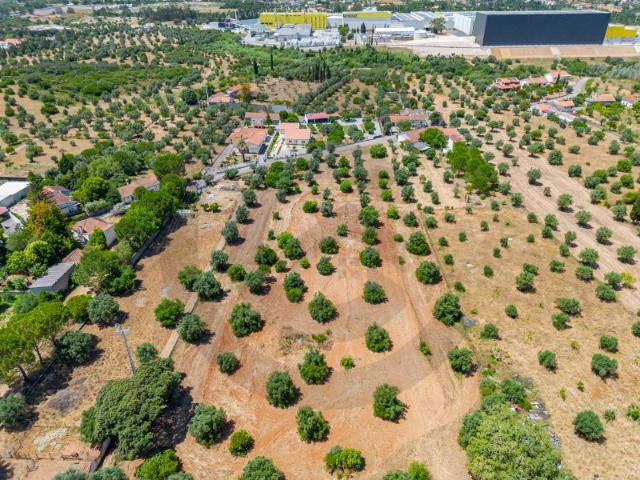 Terreno venda em Torres Novas, Santarém