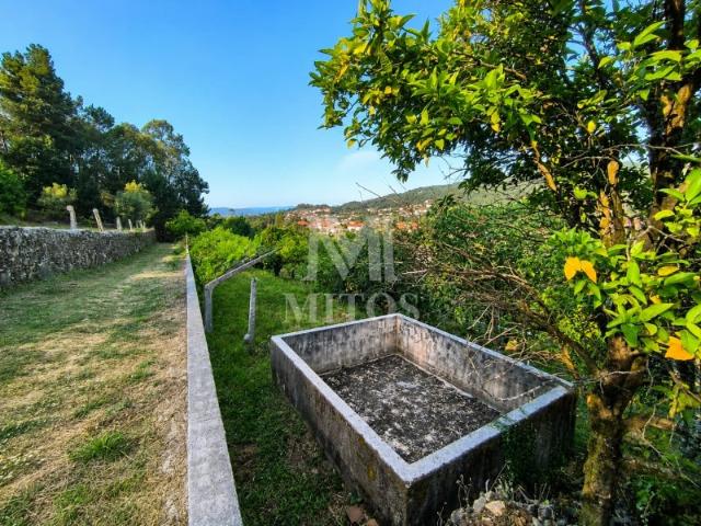 Terreno venda em Viana Do Castelo