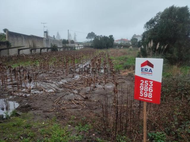 Terreno venda em Esposende Terreno venda em Esposende