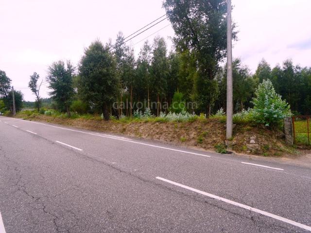 Terreno venda em Monção, Viana Do Castelo