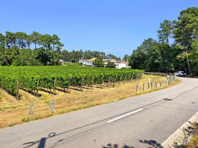 Terreno venda em Monção, Viana Do Castelo