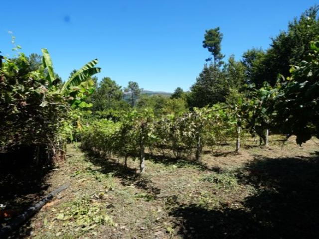 Terreno venda em Monção, Viana do Castelo